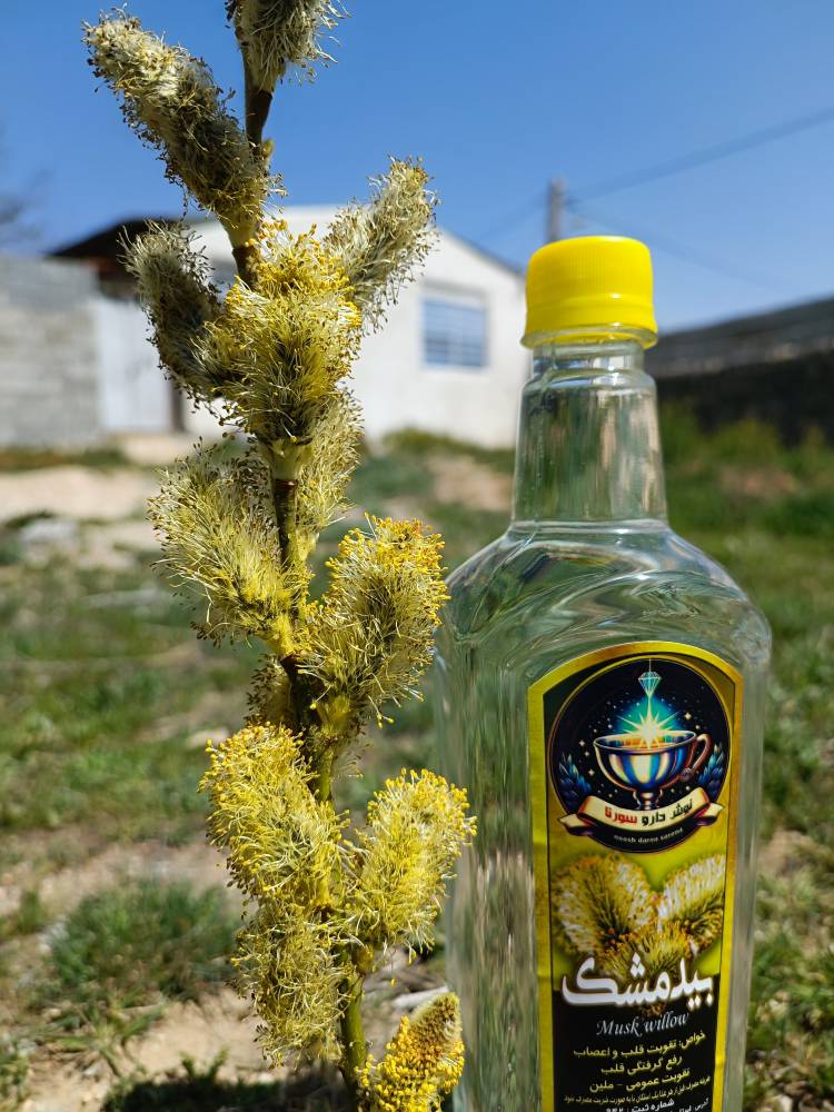 عرق بیدمشک خالص بدون اسانس نوش دارو سورنا